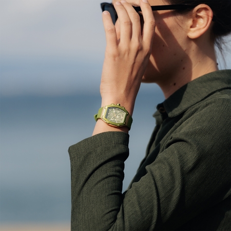ICE Watch